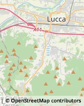 Impianti Antifurto e Sistemi di Sicurezza,55100Lucca