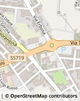 Via dei Frosini, 7,51100Pistoia