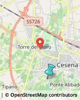 Agenzie di Animazione e Spettacolo,47522Forlì-Cesena