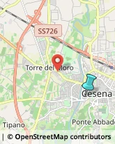 Agenzie di Animazione e Spettacolo,47521Forlì-Cesena