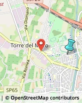 Impianti Sportivi,47521Forlì-Cesena