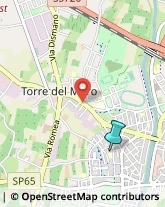 Scuole Pubbliche,47522Forlì-Cesena