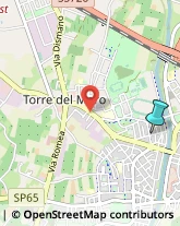 Impianti Sportivi,47522Forlì-Cesena