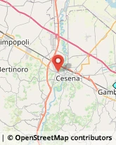 Agenzie di Animazione e Spettacolo,47035Forlì-Cesena