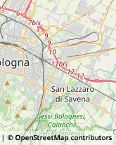 Via Castiglione, 52,40124Bologna