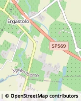 Via Provinciale Vignola-Sassuolo, 315/1,41057Spilamberto