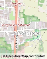 Viale della Repubblica, 174,20831Seregno