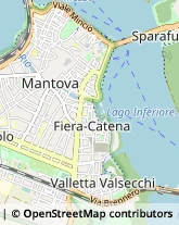 Via Trieste, 49,46100Mantova