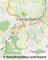 Autotrasporti,86100Campobasso