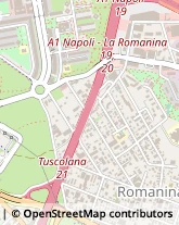 Via Ignazio Scimonelli, 139,00173Roma