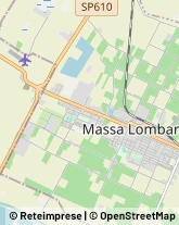 Viale Giulio Zaganelli, 76,48024Massa Lombarda