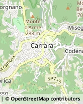 Bar e Caffetterie,54033Massa-Carrara