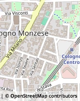 Via Goffredo Mameli, 4,20093Cologno Monzese