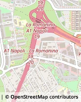 Via Vincenzo Manzini, 123,00173Roma