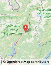 Agenzie Ippiche e Scommesse,38086Trento