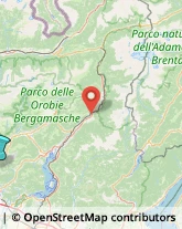 Agenzie Ippiche e Scommesse,24021Bergamo