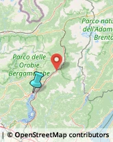 Caccia e Pesca Articoli - Dettaglio,24062Bergamo