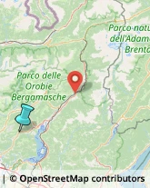 Caccia e Pesca Articoli - Dettaglio,24060Bergamo