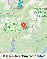 Caccia e Pesca Articoli - Dettaglio,23037Sondrio