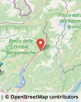 Agenzie Ippiche e Scommesse,24027Bergamo