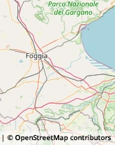 Via Marchese De Rosa, 9,71121Foggia