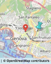 Palestre e Centri Fitness,16142Genova