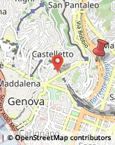 Via Ponterotto, 44,16137Genova