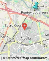 Caccia e Pesca Articoli - Dettaglio,35133Padova