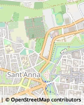 Via delle Rose, 167,55100Lucca