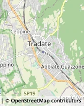 Agenzie Immobiliari,21049Varese