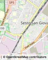 Via Solferino, 1,20099Sesto San Giovanni