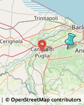 Aziende Agricole,76123Barletta-Andria-Trani