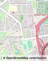 Via Cottolengo, 10,20099Sesto San Giovanni