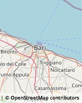 Grafica, Disegno e Belle Arti - Articoli,70016Bari