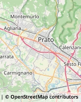 Via Giuseppe Paolini, 21/E,59100Prato