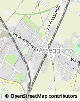 Via Asseggiano, 245,30174Venezia