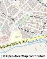 Via Prato del Cavaliere, 5,00052Cerveteri