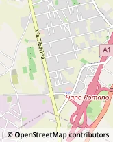 via Mola Saracena, snc,00065Fiano Romano