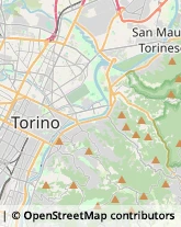 Agopuntura,10154Torino