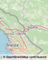 Autofficine e Centri Assistenza,34012Trieste