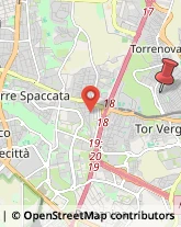 Via Vittorio Rossi, 39,00133Roma