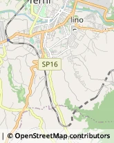 Impianti Sportivi,05100Terni