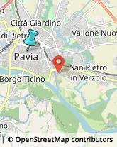 Assicurazioni,27100Pavia