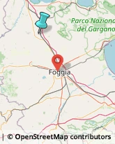 Idraulici e Lattonieri,71016Foggia