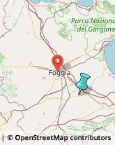 Idraulici e Lattonieri,71045Foggia