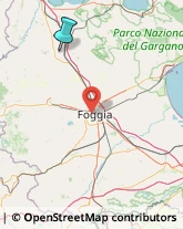 Idraulici e Lattonieri,71016Foggia