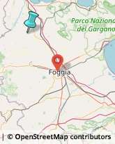 Idraulici e Lattonieri,71017Foggia