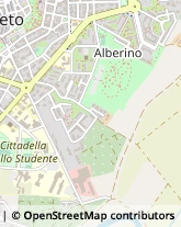 Via de Barberi, 19,58100Grosseto