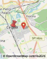 Piazza Ilio Barontini, 16,57023Cecina