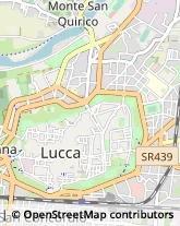 Articoli da Regalo - Dettaglio,55100Lucca